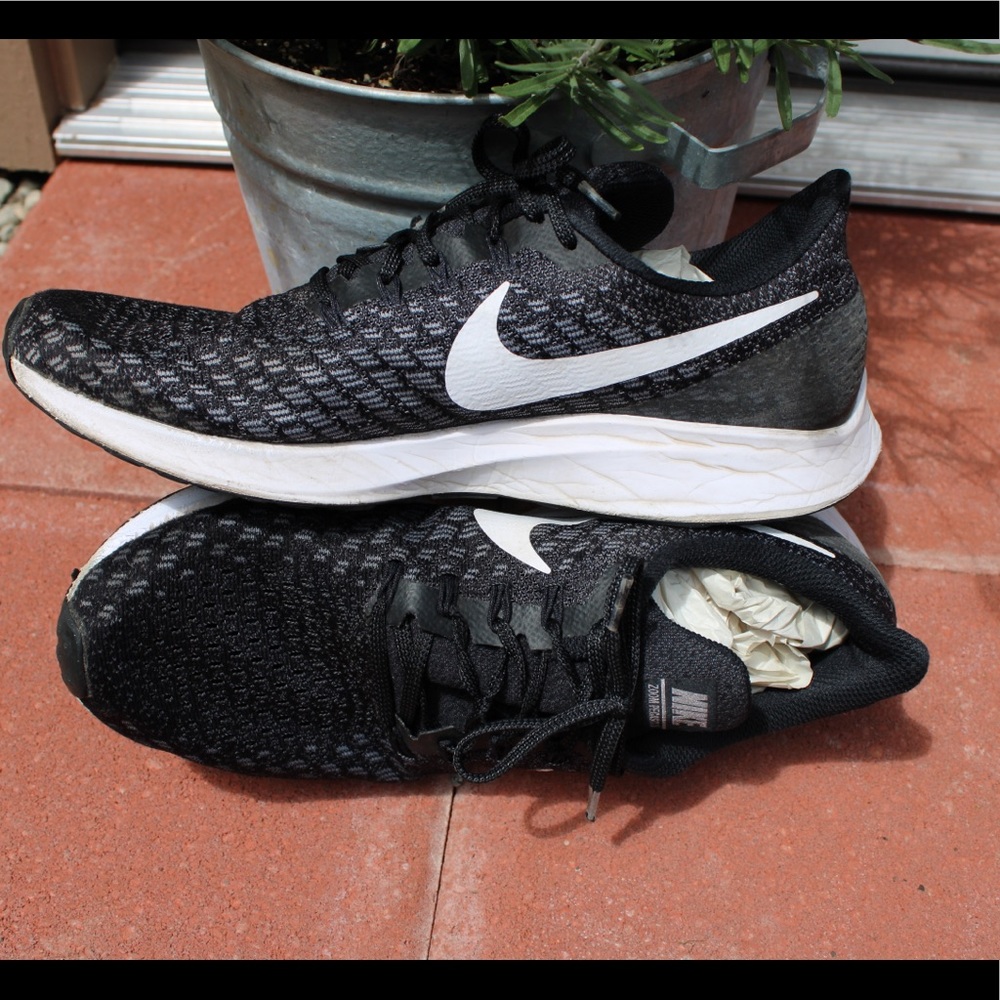 Nike Zoom Pegasus 35